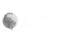 ASLAN MEDIA - EMPOWERING BRANDS THROUGH INNOVATIVE MARKETING SOLUTIONS
