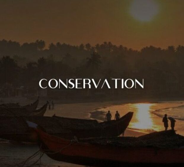 CONSFRAVATION
